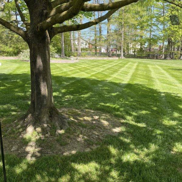 487858890_1053742130133306_7498097496928986706_n