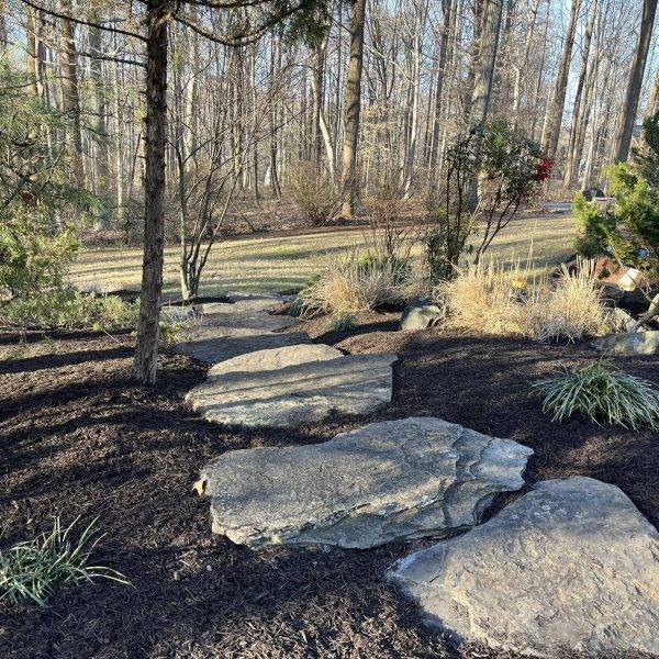 487875461_1054022560105263_5404457435217215794_n