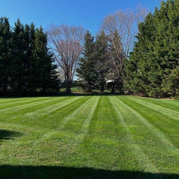 491443327_17861512806389467_3310491264477549107_n