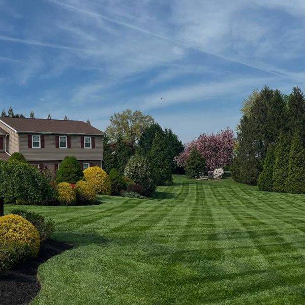 499481652_17866322349389467_4418666954553467631_n