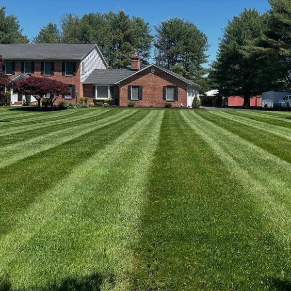 499884308_17866322373389467_9184697723669849195_n