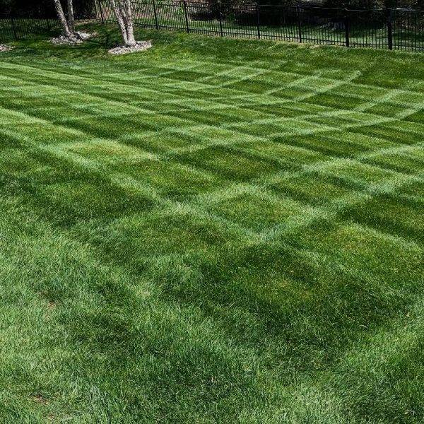 500316674_17866322364389467_842515445140409413_n